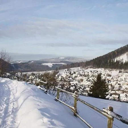 Ferienwohnung Olsberg Apartmán Assinghausen